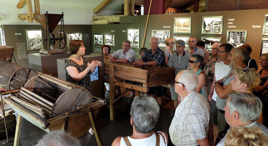 Visite guidée gourmande JUILLET